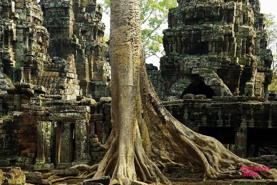 Bangkok naar Siem Reap, Discover Angkor