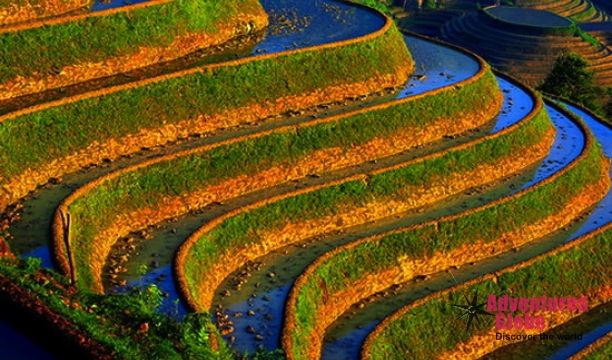 guilin-longji-terraces