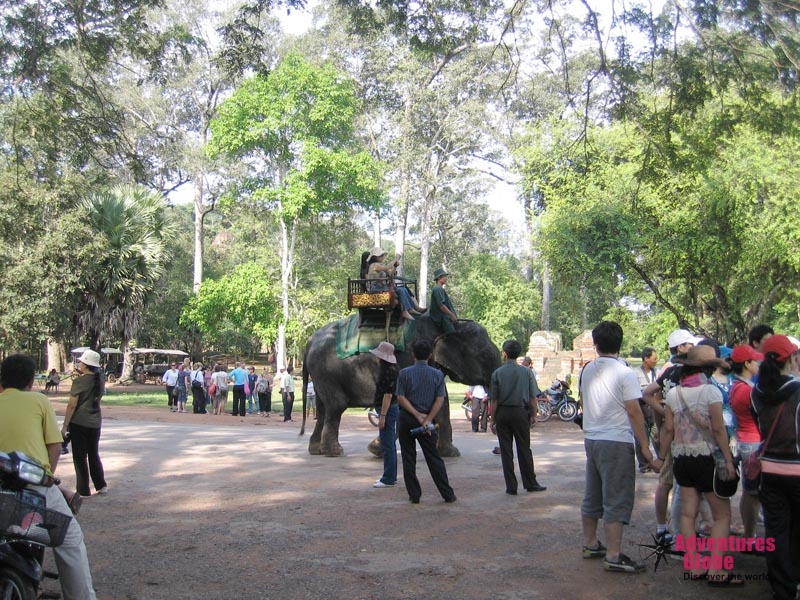 Fietsvakantie Angkor Wat