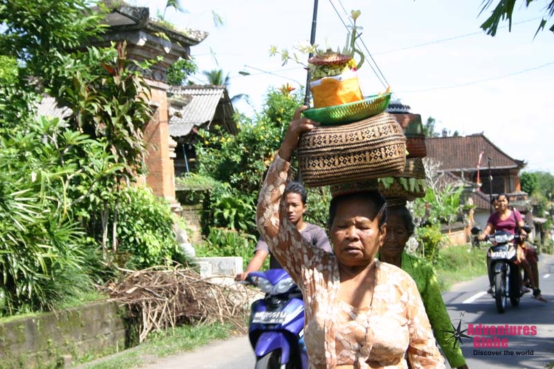 Ubud naar Tanah Lot