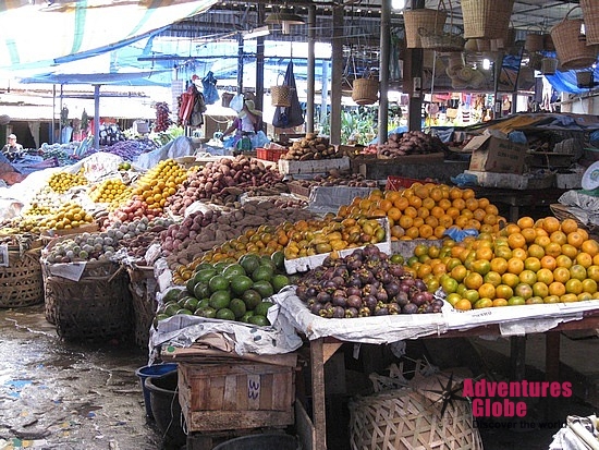 Orang Oetan & Sumatra Ontdekking Reis