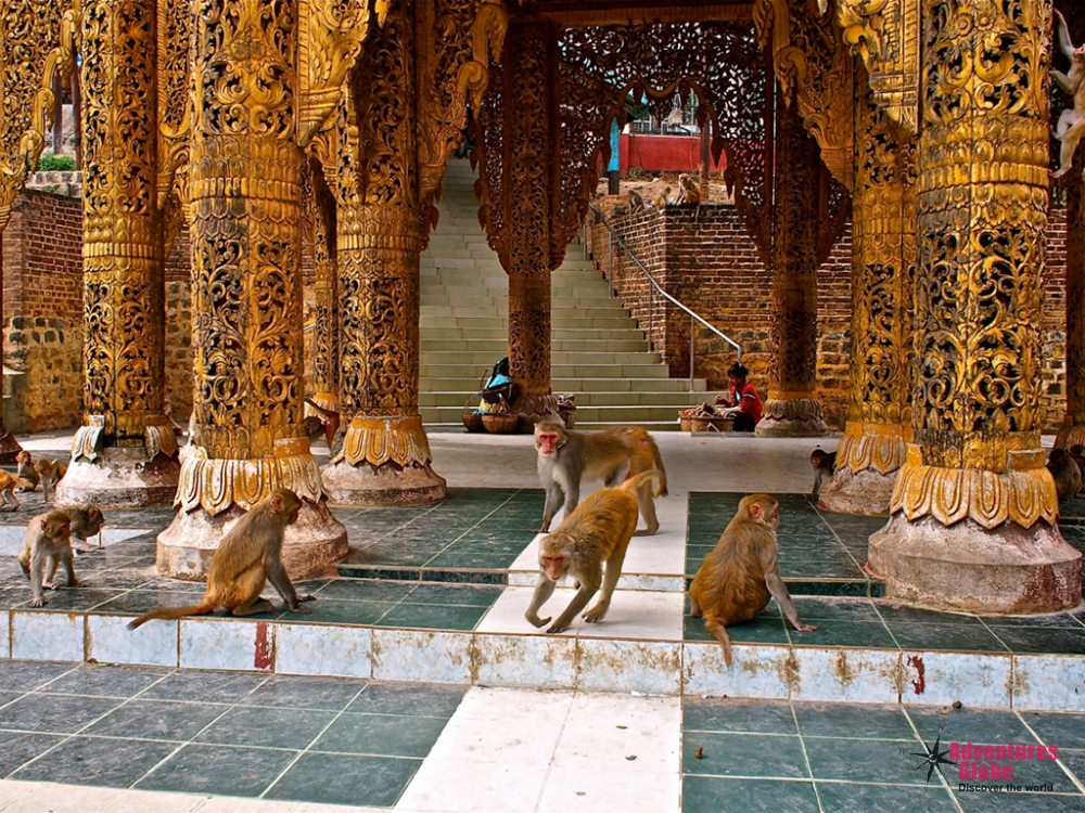 Mount Popa Tour