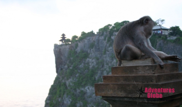 monkey-uluwatu