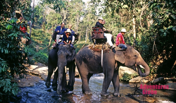 Elephant Riding at Jungle Raft, Kanchanaburi