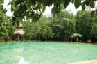 Jungle Tour Hot Spring en Emerald Pond Krabi, Thailand