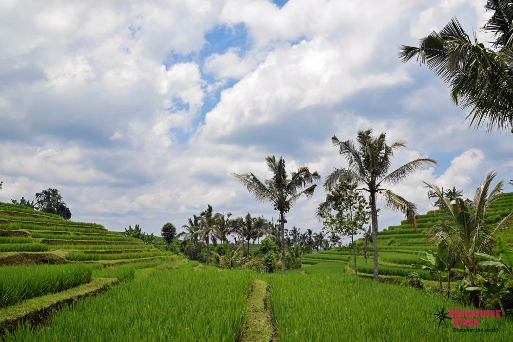 Strandvakantie Bali Beach Resort