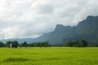 Klassiek Laos Rondreis