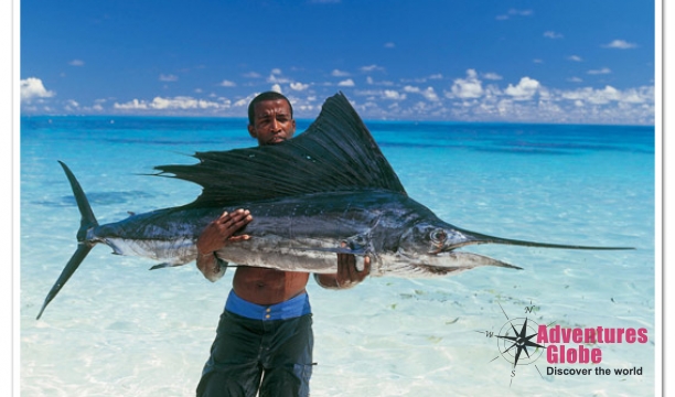 Seychellen-Vis