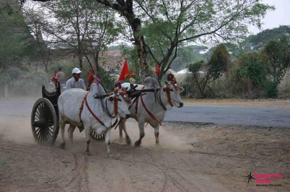 Rondreis Myanmar Discovery Highlights