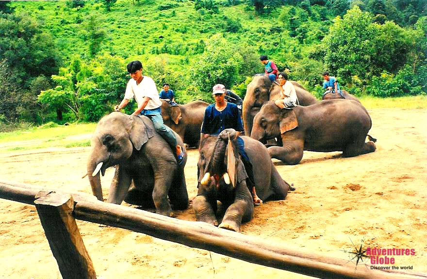 Thailand Avontuur Rondreis