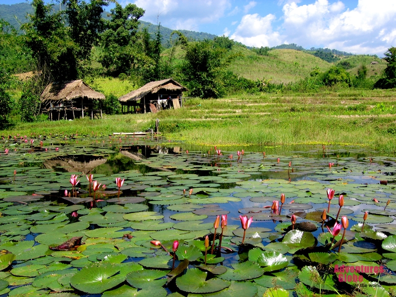 Amazing Thailand Rondreis