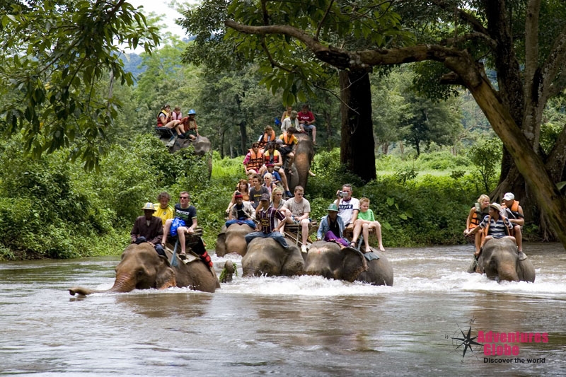 Chiang Mai Adventure Trekking & White Water Rafting