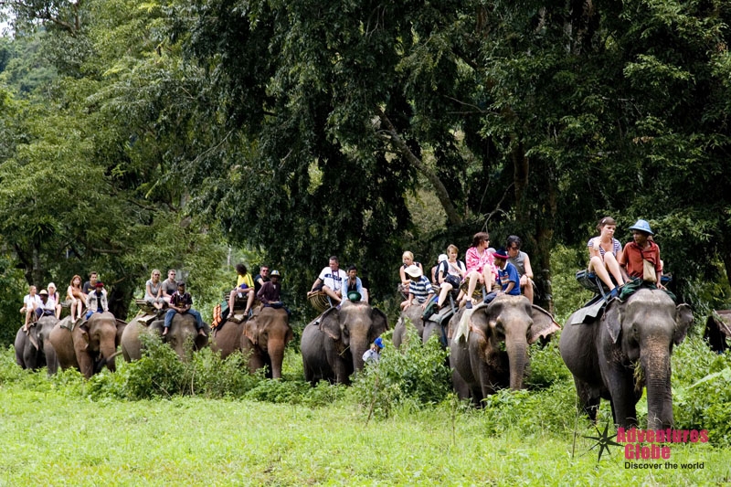 Discover Thailand Rondreis