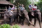 Kanchanaburi Adventure en tijgertempel