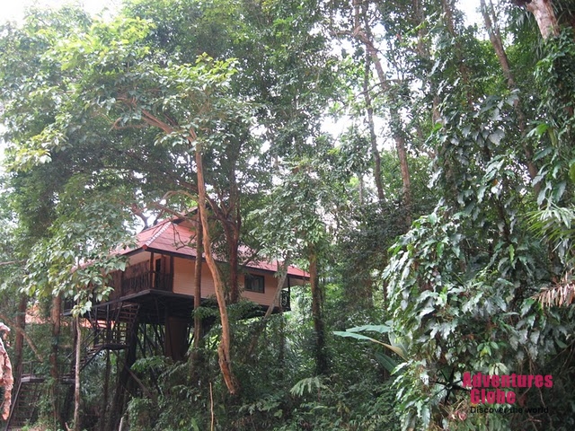 Khao Sok Tree Tops & White Sandy Beaches Thailand