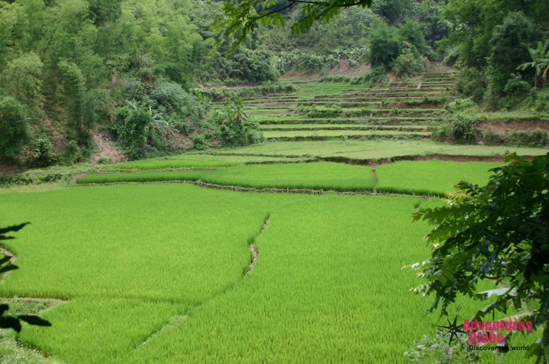 Fietstour Ninh Binh, Vietnam