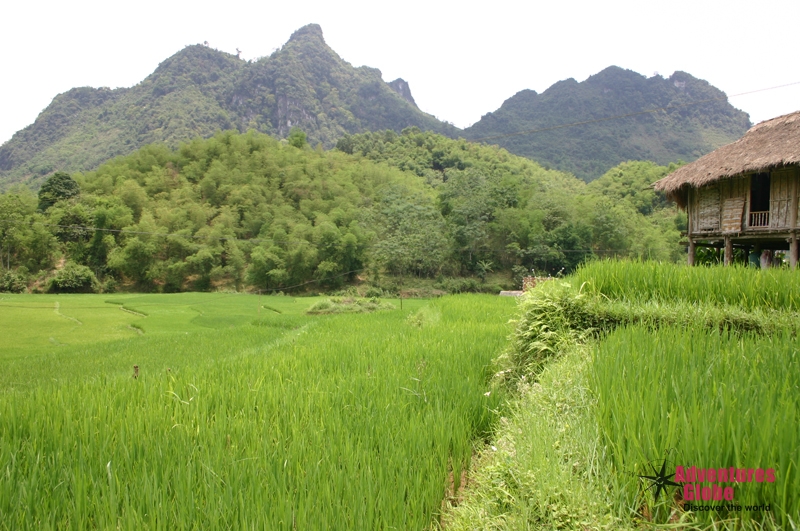 Noord Vietnam Cultuur Rondreis